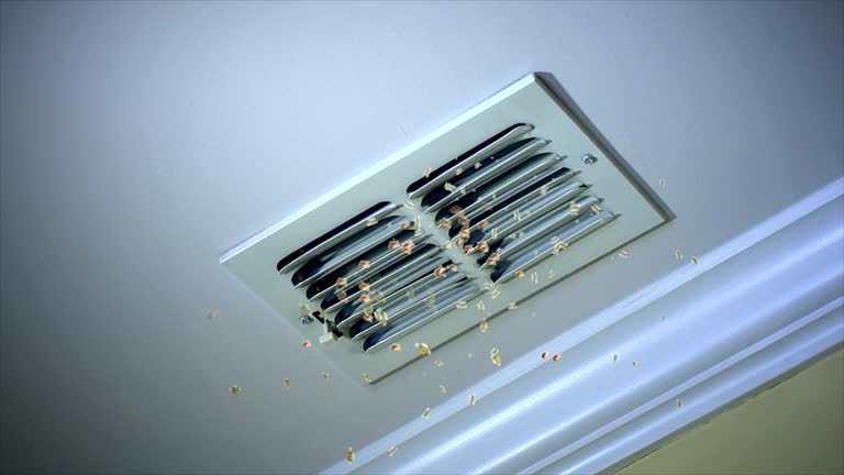 Best HVAC System Cleaning  in Flora, MS
