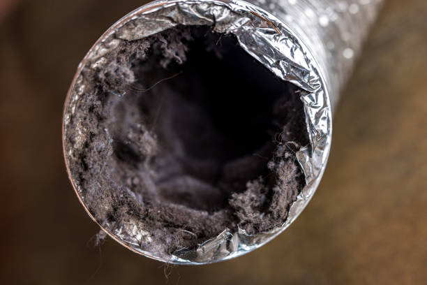 Best HVAC Air Duct Cleaning  in Flora, MS